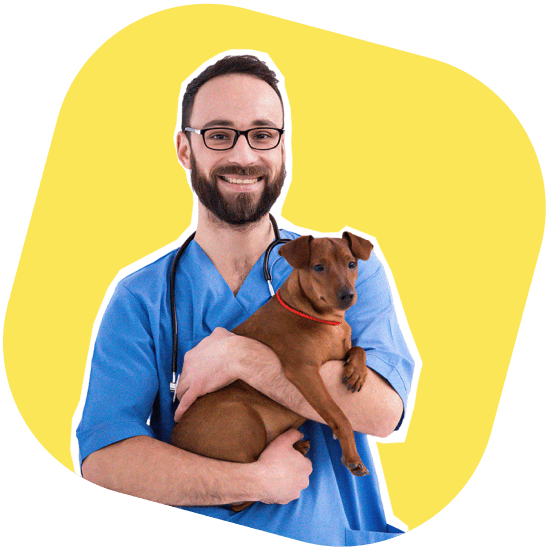 Estabelecimentos cobertos pelo seguro